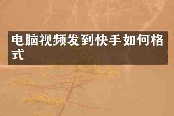 电脑视频发到快手如何格式