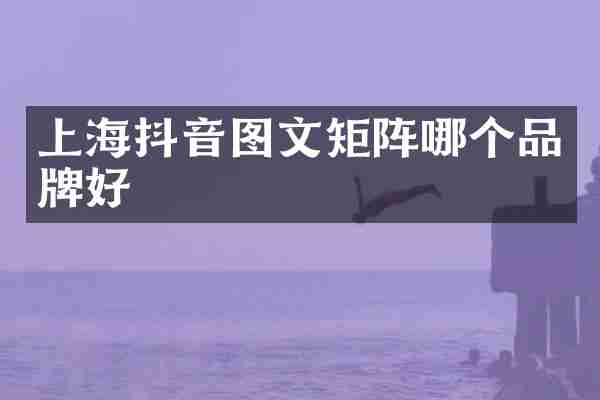 上海抖音图文矩阵哪个品牌好