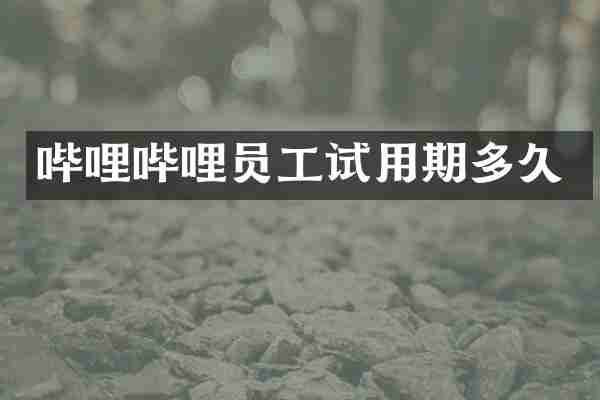 哔哩哔哩员工试用期多久