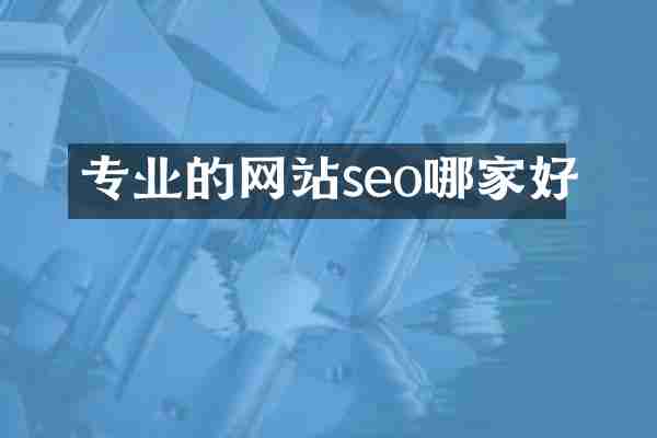 专业的网站seo哪家好