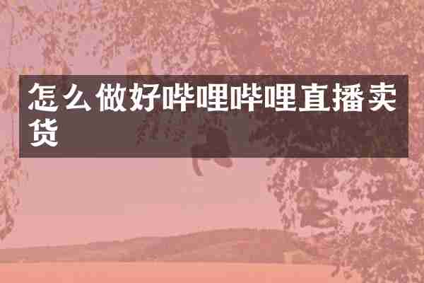 怎么做好哔哩哔哩直播卖货