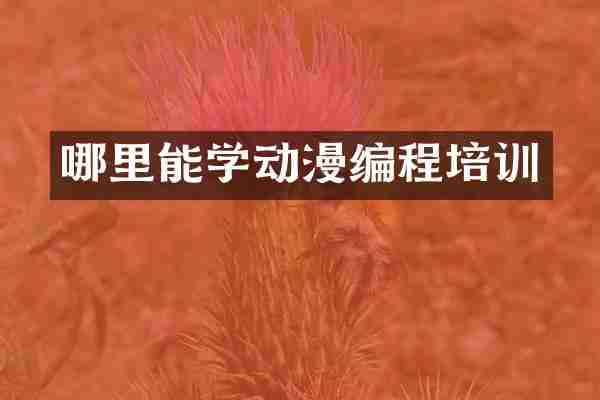 哪里能学动漫编程培训