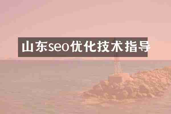 山东seo优化技术指导