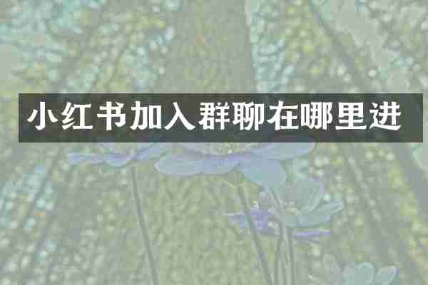 小红书加入群聊在哪里进