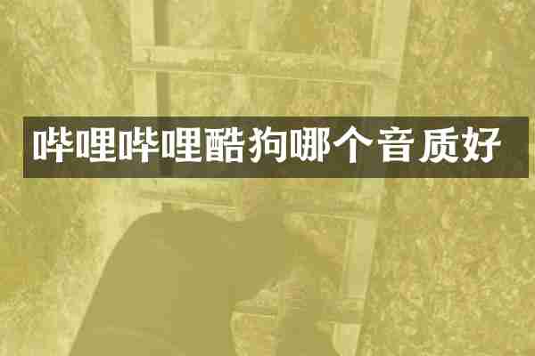 哔哩哔哩酷狗哪个音质好