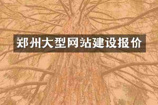 郑州大型网站建设报价