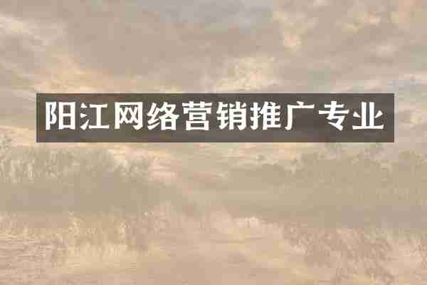 阳江网络营销推广专业