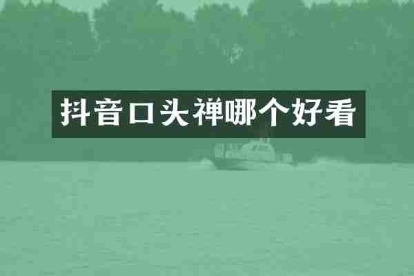 抖音口头禅哪个好看
