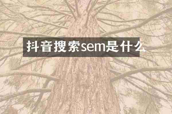 抖音搜索sem是什么