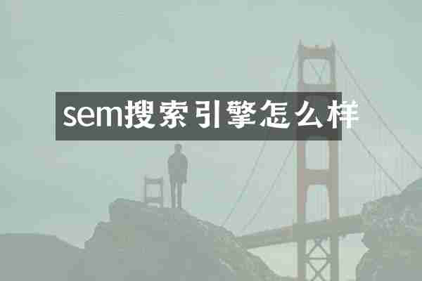 sem搜索引擎怎么样