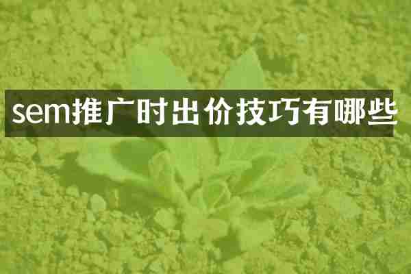 sem推广时出价技巧有哪些