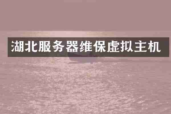 湖北服务器维保虚拟主机