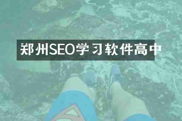 郑州SEO学习软件高中