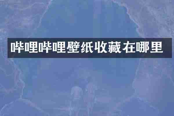 哔哩哔哩壁纸收藏在哪里
