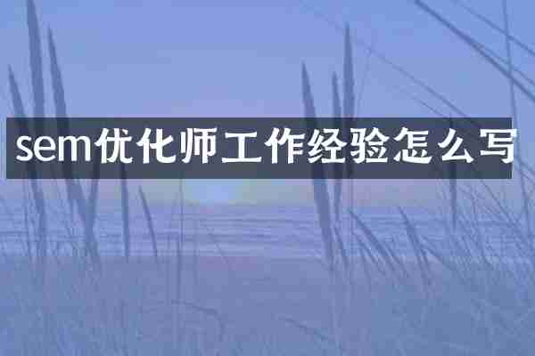 sem优化师工作经验怎么写