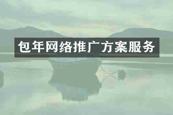 包年网络推广方案服务