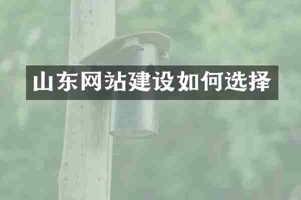 山东网站建设如何选择