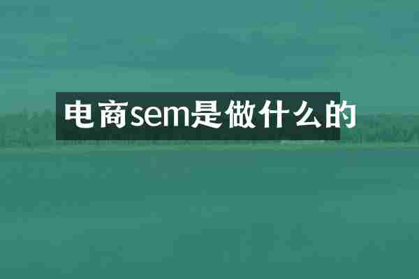 电商sem是做什么的