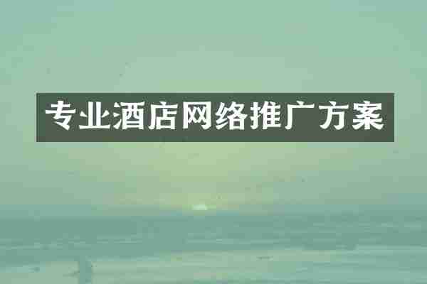 专业酒店网络推广方案