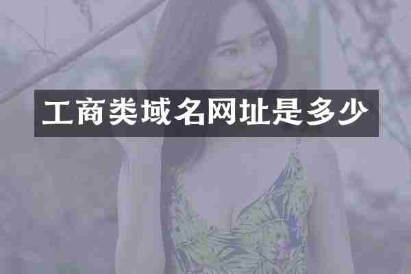 工商类域名网址是多少
