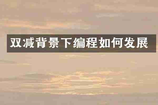 双减背景下编程如何发展