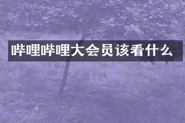 哔哩哔哩大会员该看什么