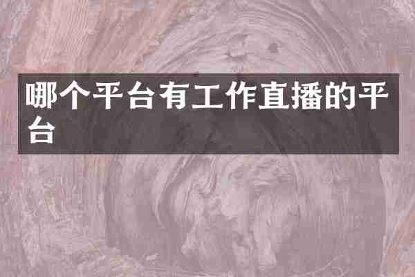 哪个平台有工作直播的平台