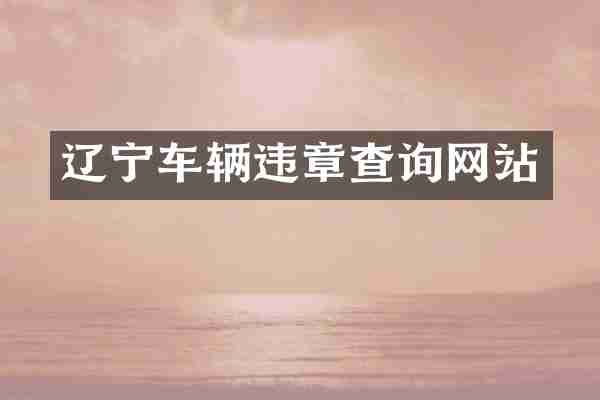 辽宁车辆违章查询网站