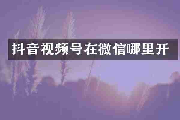 抖音视频号在微信哪里开