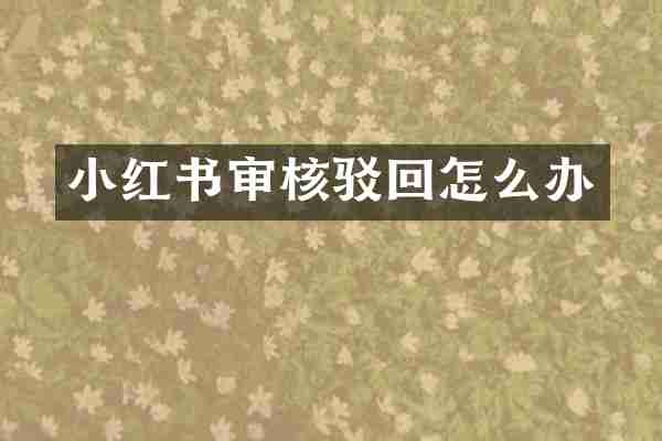 小红书审核驳回怎么办