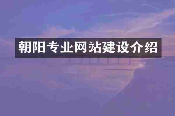 朝阳专业网站建设介绍
