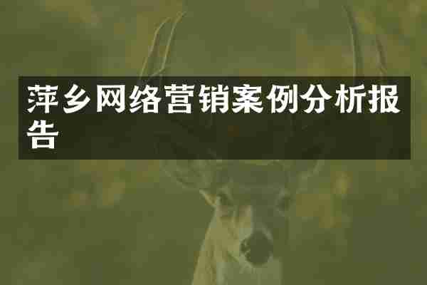 萍乡网络营销案例分析报告