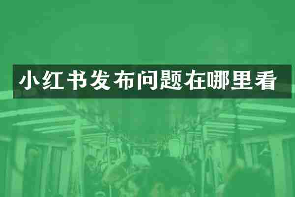 小红书发布问题在哪里看