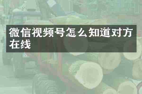 微信视频号怎么知道对方在线