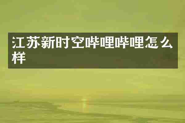 江苏新时空哔哩哔哩怎么样