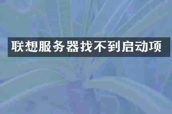 联想服务器找不到启动项