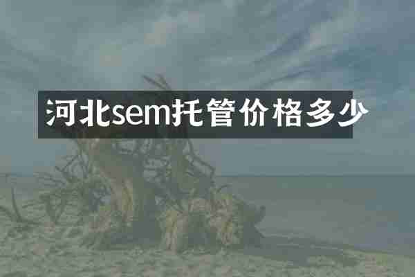 河北sem托管价格多少