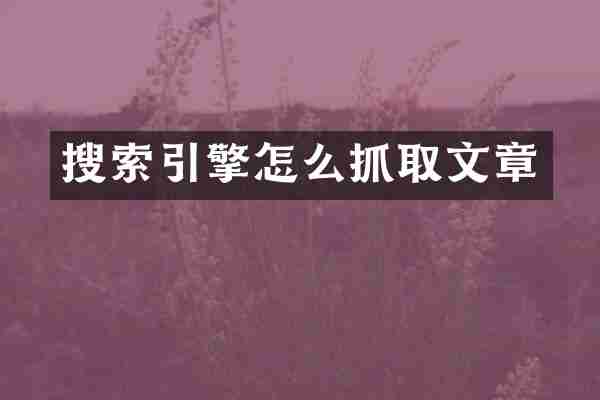 搜索引擎怎么抓取文章