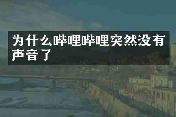 为什么哔哩哔哩突然没有声音了