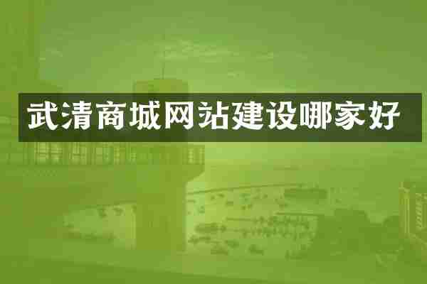 武清商城网站建设哪家好