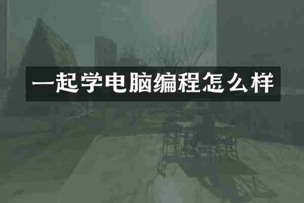 一起学电脑编程怎么样