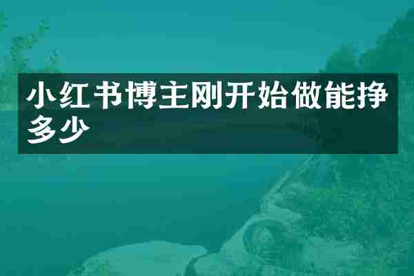 小红书博主刚开始做能挣多少