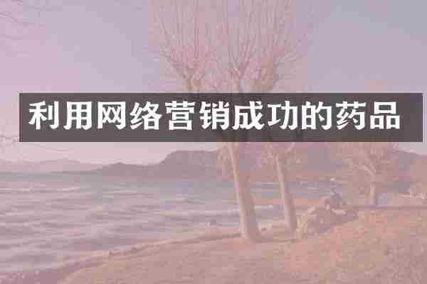 利用网络营销成功的药品
