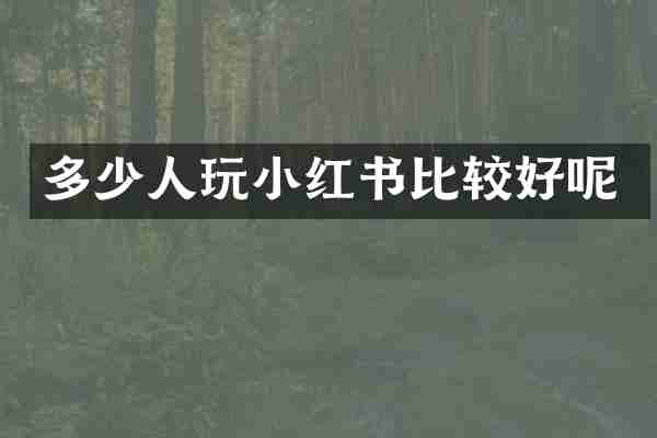 多少人玩小红书比较好呢