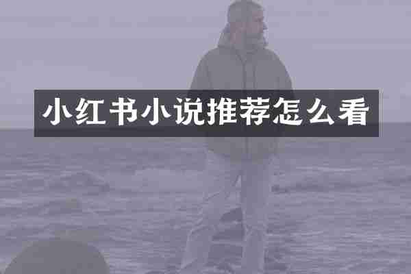 小红书小说推荐怎么看