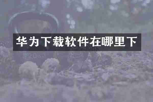 华为下载软件在哪里下
