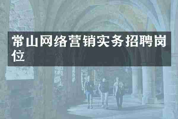 常山网络营销实务招聘岗位
