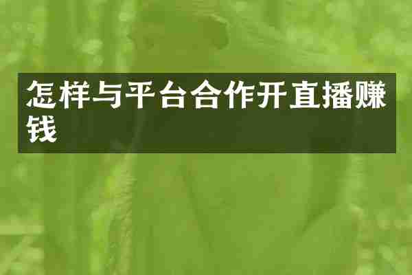 怎样与平台合作开直播赚钱
