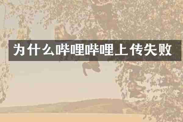 为什么哔哩哔哩上传失败