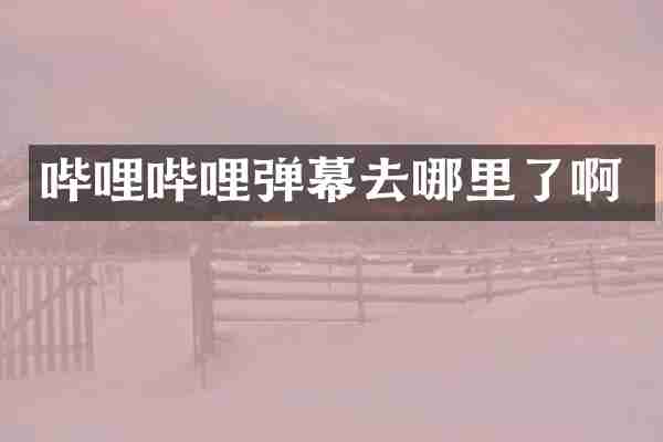 哔哩哔哩弹幕去哪里了啊